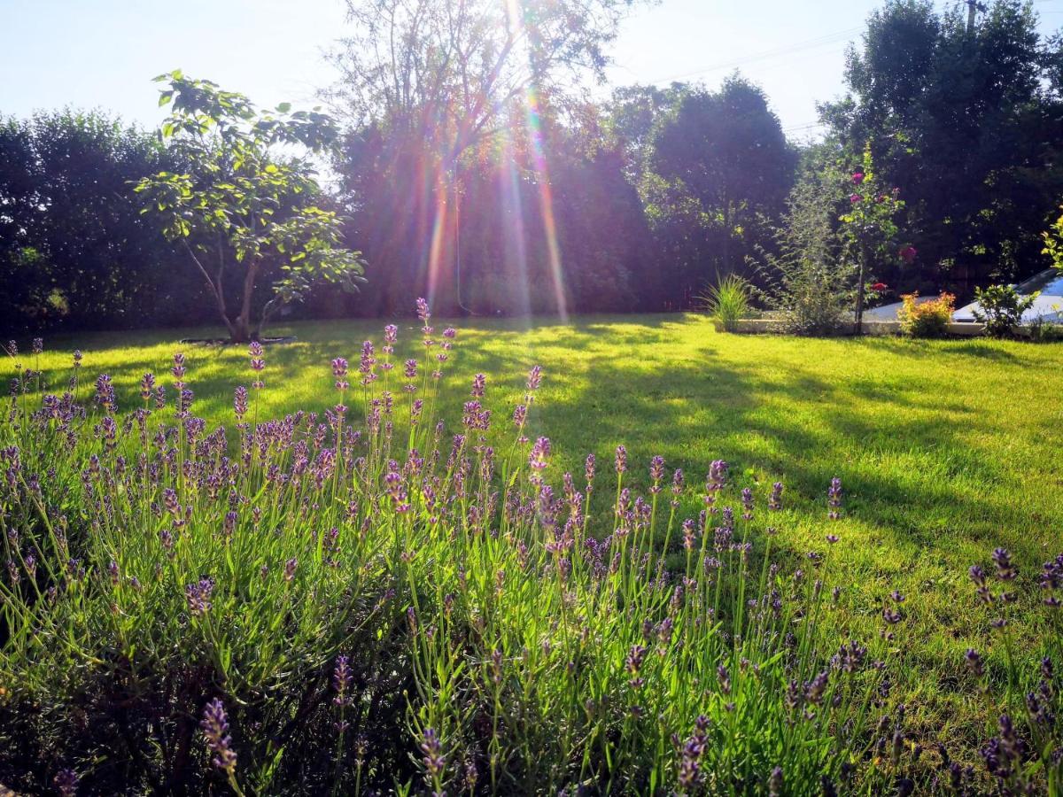Hello Balaton Apartament *