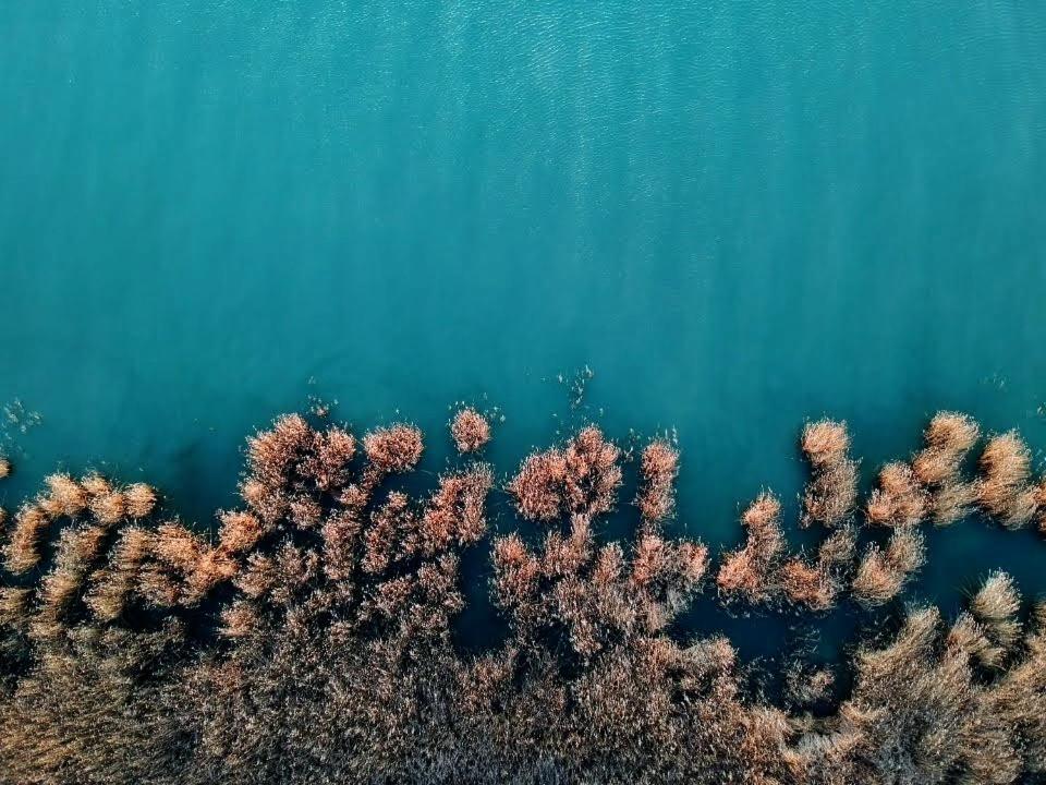 Hello Balaton Apartament *